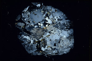 Cross Polarized, N10486