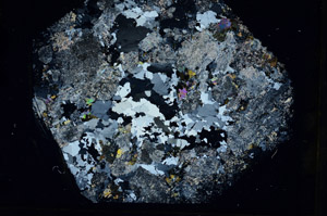 Cross Polarized, N10494