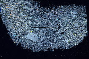 Cross Polarized, N10498