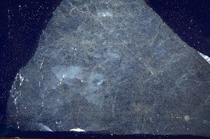 Cross Polarized, N10502