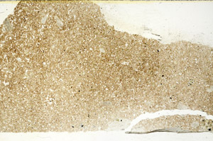 Plane Polarized, N10531
