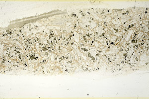 Plane Polarized, N10534