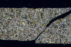 Cross Polarized, N10559