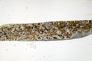 Plane Polarized, N10560