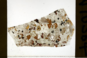 Plane Polarized, N10564