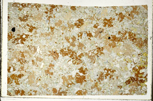 Plane Polarized, N10640