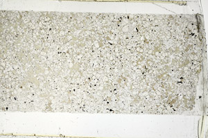 Plane Polarized, N10693