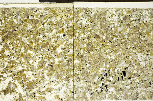 Plane Polarized, N10742