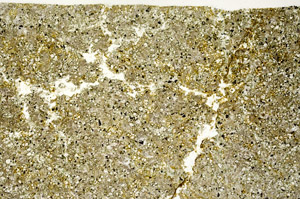 Plane Polarized, N10747