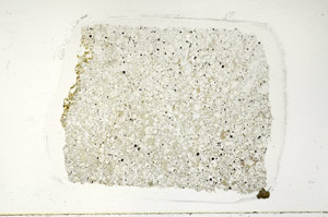 Plane Polarized, N10758