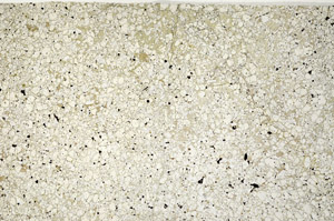 Plane Polarized, N10762