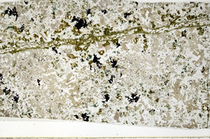 Plane Polarized, N10815