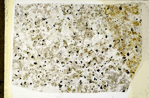 Plane Polarized, N10893