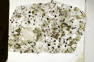 Plane Polarized, N10895