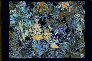 Cross Polarized, N10896