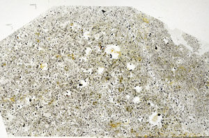 Plane Polarized, N10916