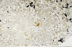 Plane Polarized, N10935