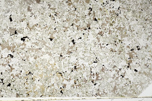 Plane Polarized, N10950