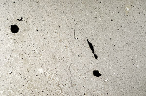 Plane Polarized, N10955