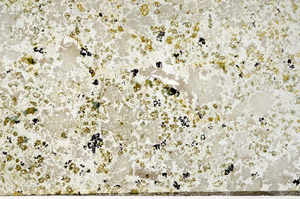 Plane Polarized, N10958