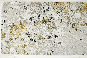 Plane Polarized, N11003