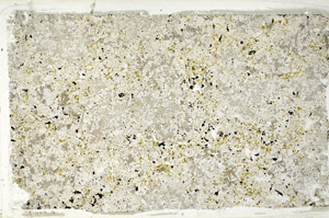 Plane Polarized, N11021