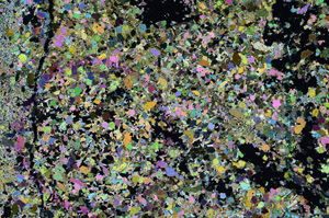 Cross Polarized, N11064