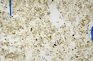 Plane Polarized, N11065