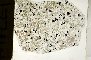 Plane Polarized, N11221