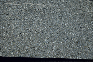 Cross Polarized, N11303