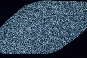 Cross Polarized, N11304