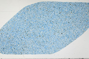 Plane Polarized, N11304