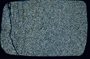 Cross Polarized, N11308