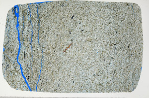 Plane Polarized, N11308