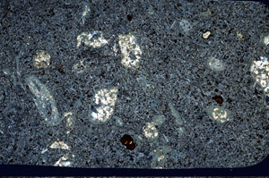 Cross Polarized, N11309