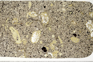 Plane Polarized, N11309