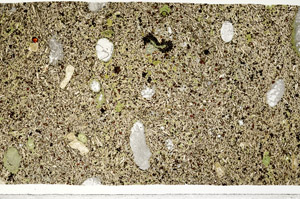 Plane Polarized, N11310