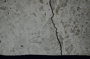 Cross Polarized, N11311