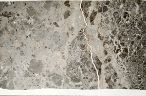 Plane Polarized, N11311