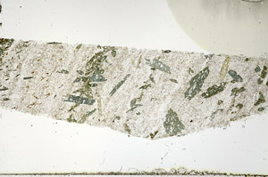 Plane Polarized, N11331/A