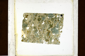 Plane Polarized, N11336/A