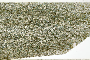 Plane Polarized, N11340