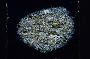 Cross Polarized, N11347