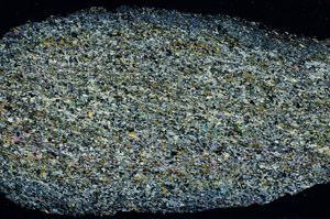 Cross Polarized, N11350