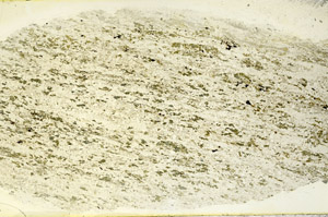 Plane Polarized, N11350