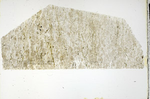 Plane Polarized, N11353/B