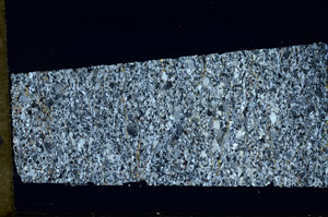 Cross Polarized, N11353/D