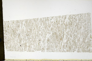 Plane Polarized, N11353/D