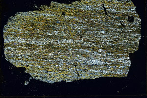 Cross Polarized, N11355