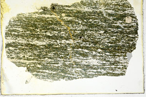 Plane Polarized, N11355
